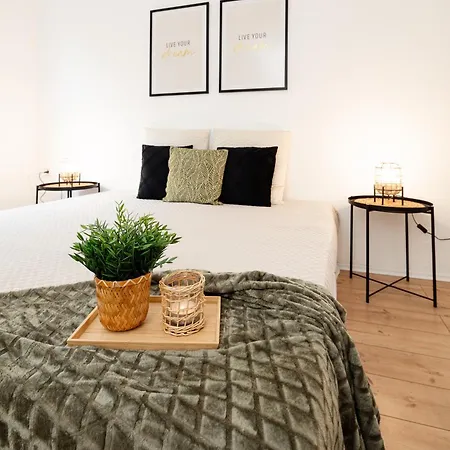Apartment Stilvoll Wohnen Im Herzen Der Stadt Steyr
